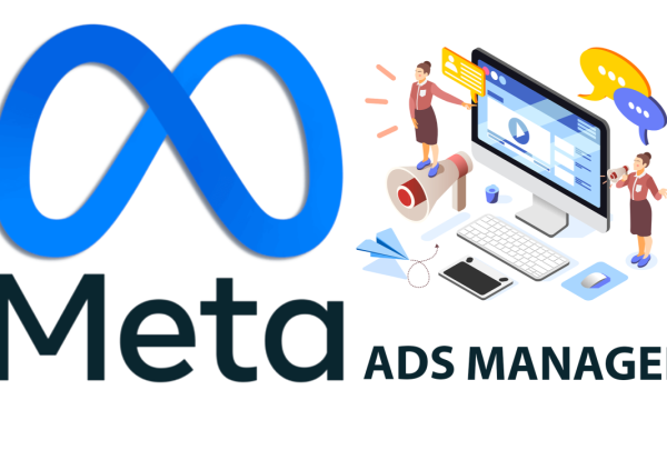 meta ads management